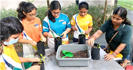 Growing Green Together: GIIS KL Partners with Free Tree Society at Taman Tugu Malaysia