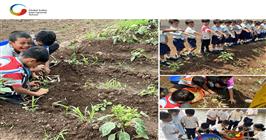 compost icare