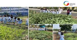 school garden kitchen