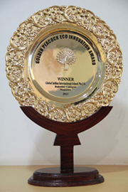 Golden Peacock Eco- Innovation Award trophy