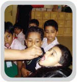 The Taste Booth